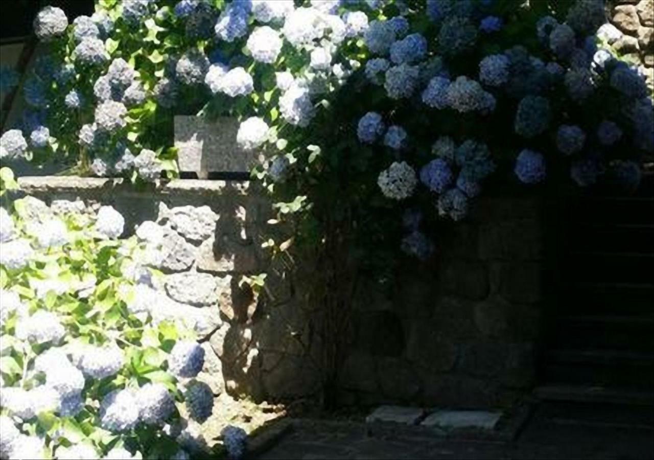 La Villetta In Montagna Vivo dʼOrcia Exterior foto